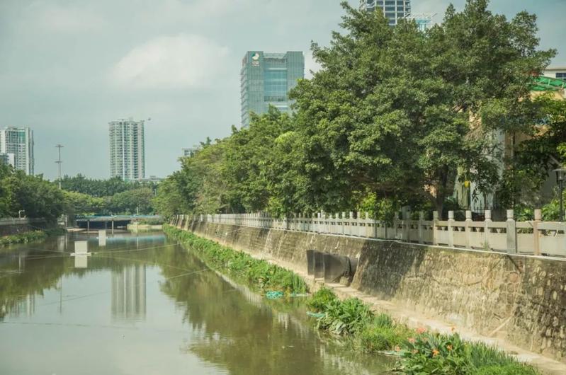 宝安水经注·新安 | 堤岸拂绿、花红临水,河流让城市更灵动