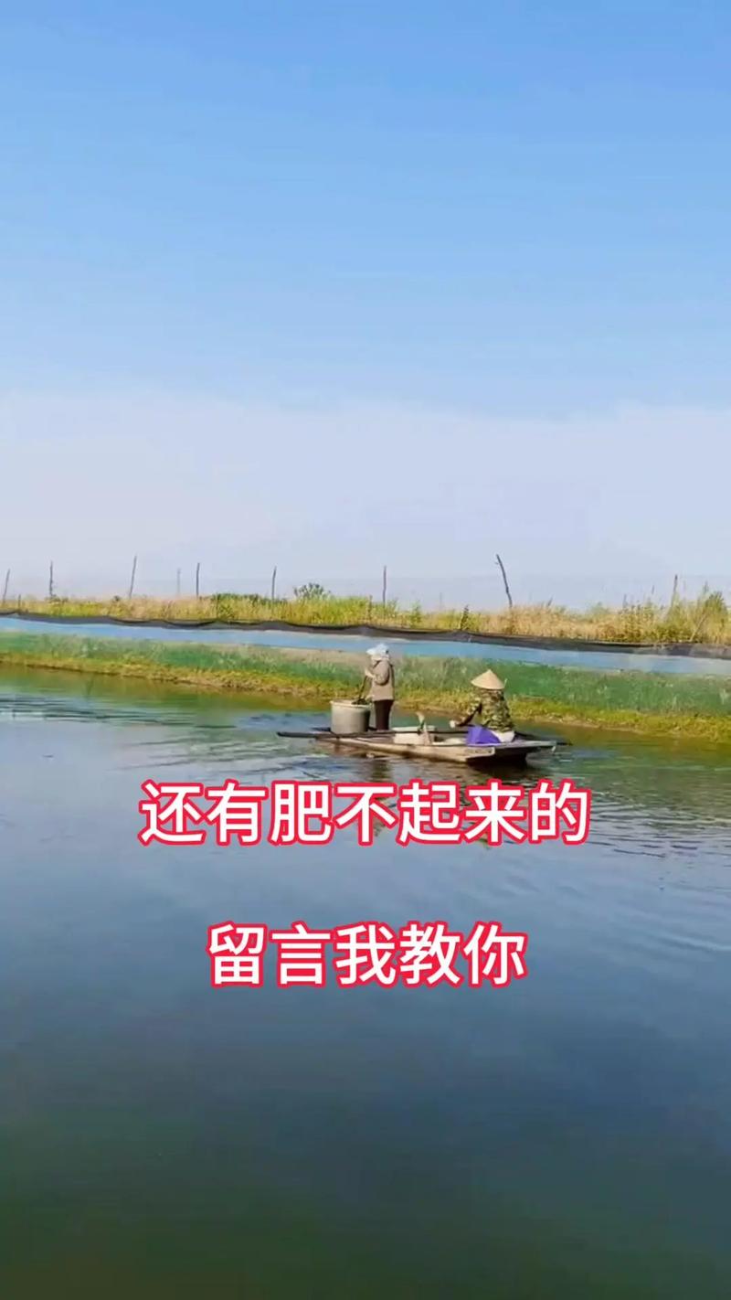 肥水小口诀,水产养殖轻松搞定.